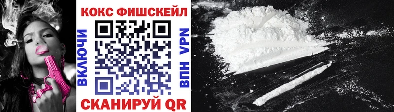 Cocaine Fish Scale  гидра ТОР  Устюжна  наркота 